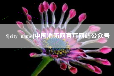 南京中国消防网官方网站公众号