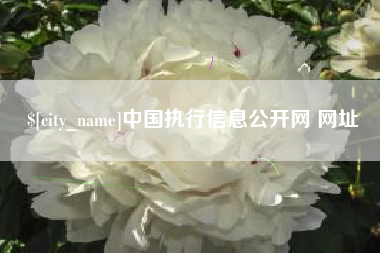 南京中国执行信息公开网 网址