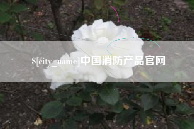 南京中国消防产品官网