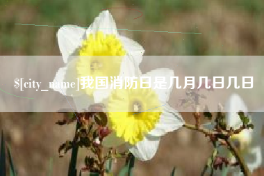 南京我国消防日是几月几日几日
