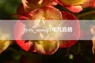 南京21年九宫格