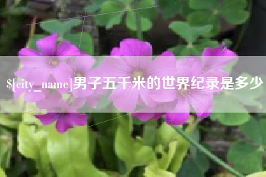 南京男子五千米的世界纪录是多少