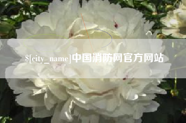 南京中国消防网官方网站