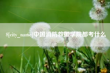 南京中国消防救援学院都考什么