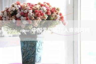 南京中国失信执行人查询官网