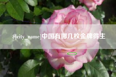 南京中国有哪几枚金牌得主