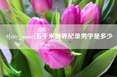 南京五千米世界纪录男子是多少