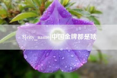 南京中国金牌都是啥