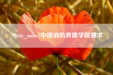 南京中国消防救援学院要求