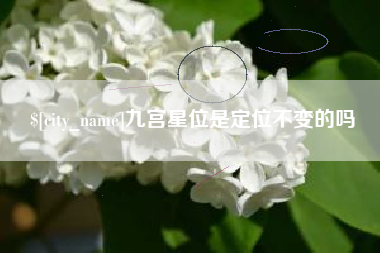 南京九宫星位是定位不变的吗