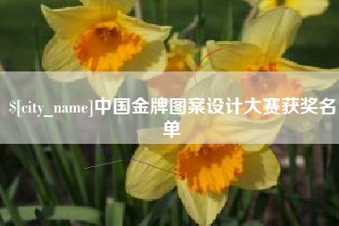 南京中国金牌图案设计大赛获奖名单