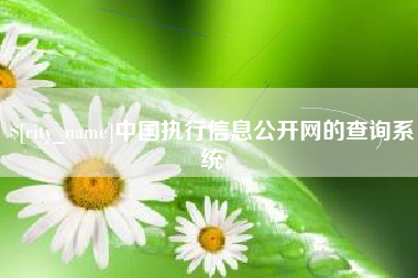 南京中国执行信息公开网的查询系统