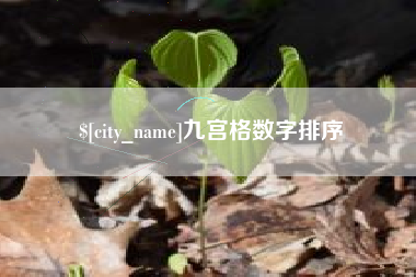 南京九宫格数字排序