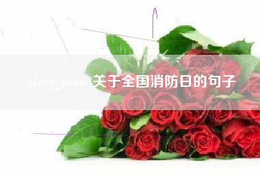 南京关于全国消防日的句子
