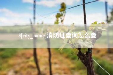 南京消防证查询怎么查