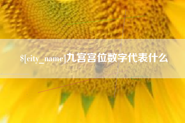 南京九宫宫位数字代表什么