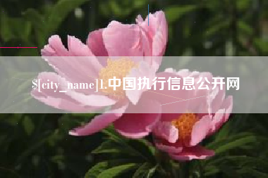 南京1.中国执行信息公开网