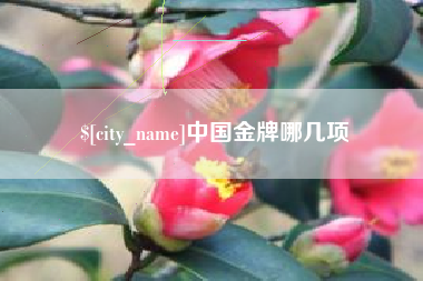 南京中国金牌哪几项