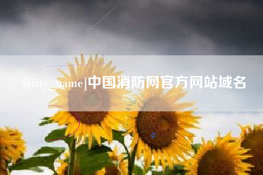 南京中国消防网官方网站域名
