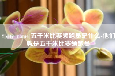 南京五千米比赛领跑员是什么-他们就是五千米比赛领跑员