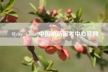 南京中国消防报考中心官网