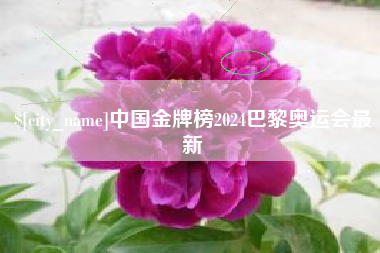 南京中国金牌榜2024巴黎奥运会最新