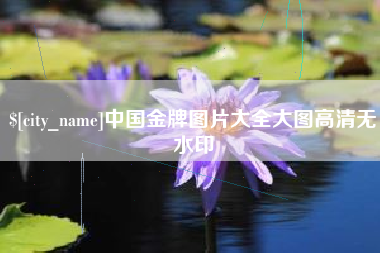 南京中国金牌图片大全大图高清无水印