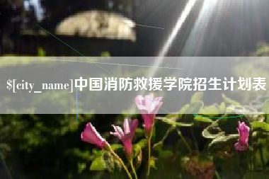 南京中国消防救援学院招生计划表