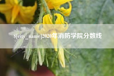 南京2020年消防学院分数线