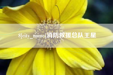 南京消防救援总队王星