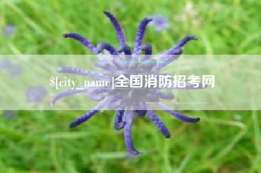 南京全国消防招考网