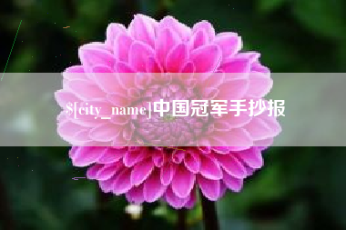 南京中国冠军手抄报