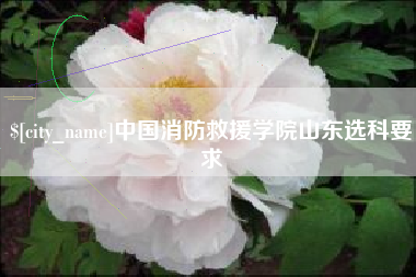 南京中国消防救援学院山东选科要求
