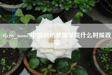 南京中国消防救援学院什么时候政审