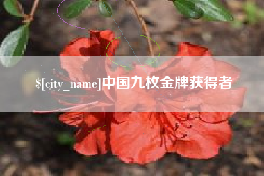 南京中国九枚金牌获得者