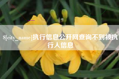 南京执行信息公开网查询不到被执行人信息