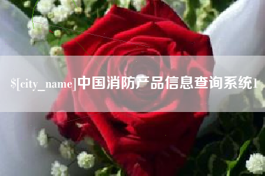 南京中国消防产品信息查询系统1