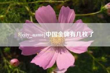 南京中国金牌有几枚了