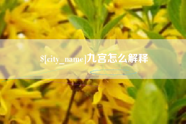 南京九宫怎么解释