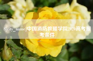南京中国消防救援学院2020高考报考条件