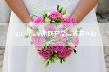 南京消防产品ccc认证查询