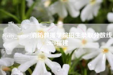南京消防救援学院招生录取分数线2020福建