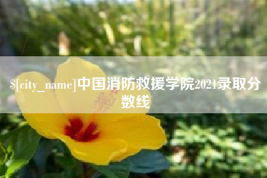 南京中国消防救援学院2021录取分数线
