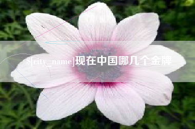 南京现在中国哪几个金牌