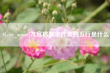 南京九宫格数字代表的五行是什么