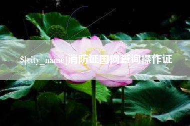 南京消防证国网查询操作证