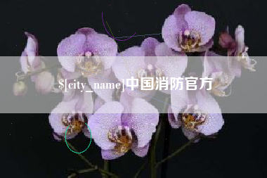 南京中国消防官方