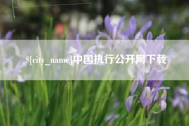 南京中国执行公开网下载