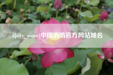 南京中国消防官方网站域名