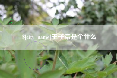 南京王子豪是个什么